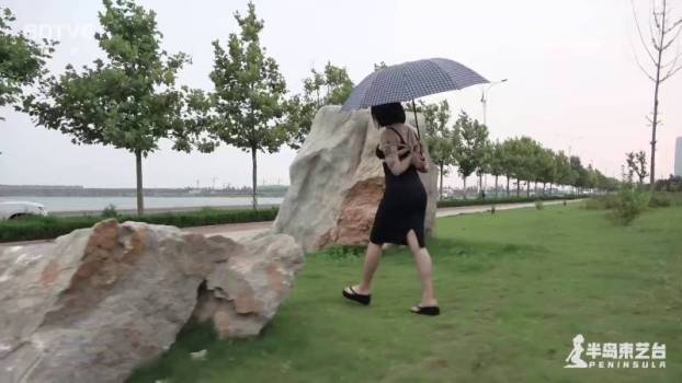 妖狐吧半岛束艺台新作之伊莱娜后高手撑伞雨中朲行道漫步！可以在线看！